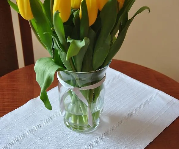 Willa Idylla Gasthuis 3*